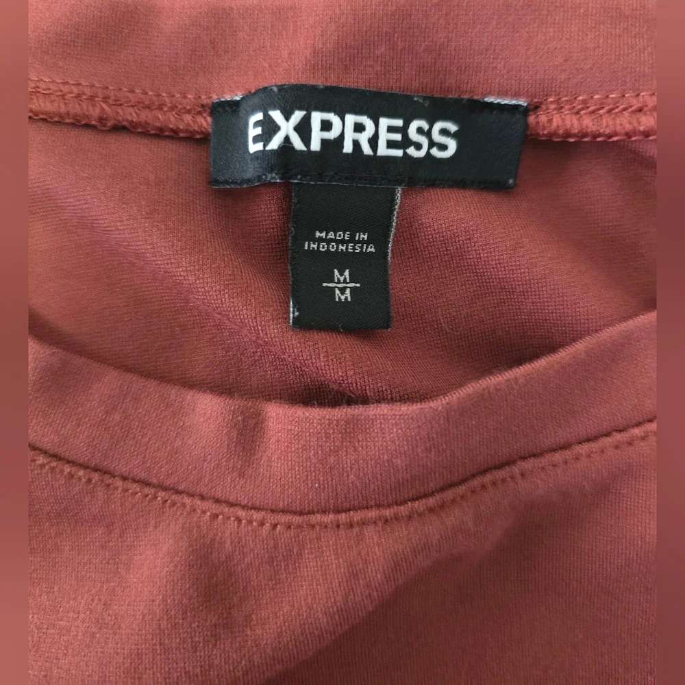 Express Twist-Front Rust/Brick Red Ruched Bodysuit - Picture 5 of 9
